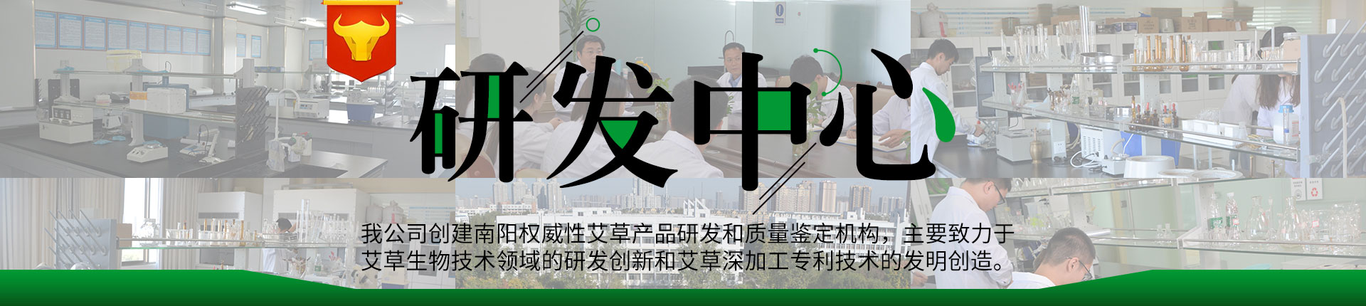 艾条